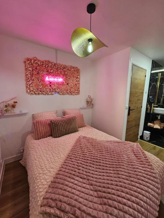 Bel Appartement OASIS, Love ROOM avec spa privatif 20 min de Lille — photo 2