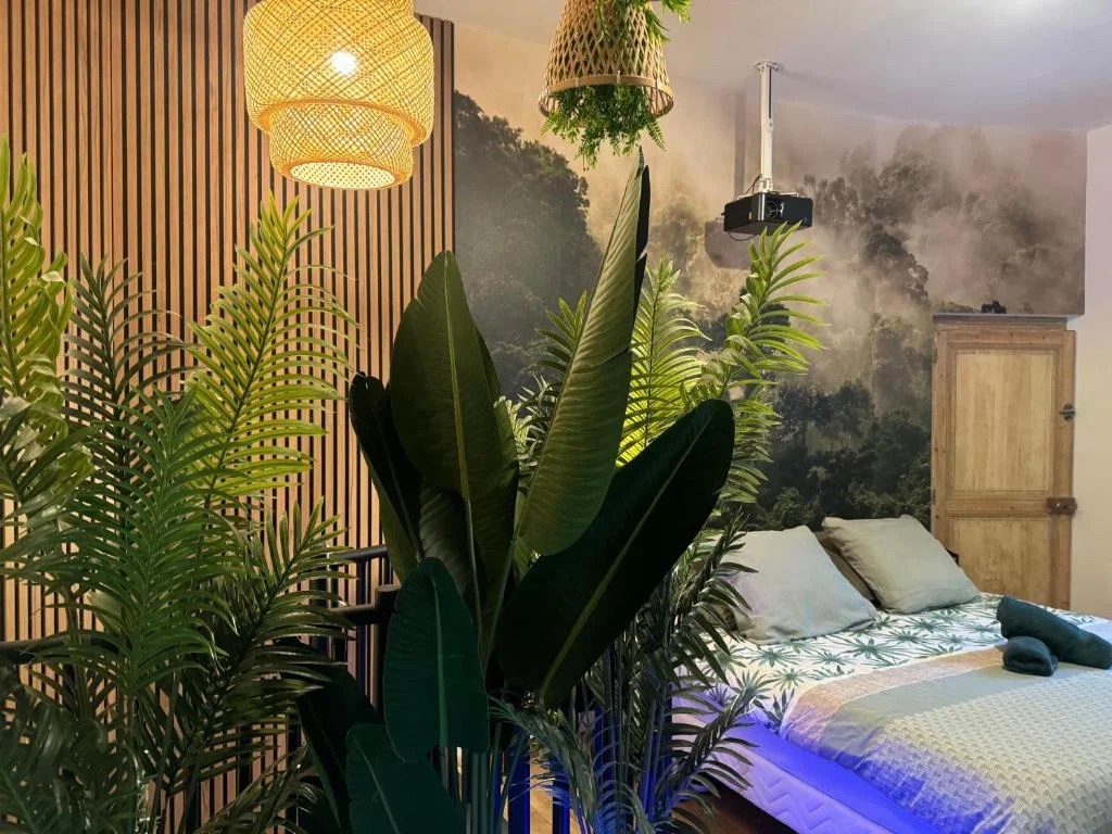 L'Oasis Angevine - Balnéo, Sauna, Home Cinéma et Parking — photo 2