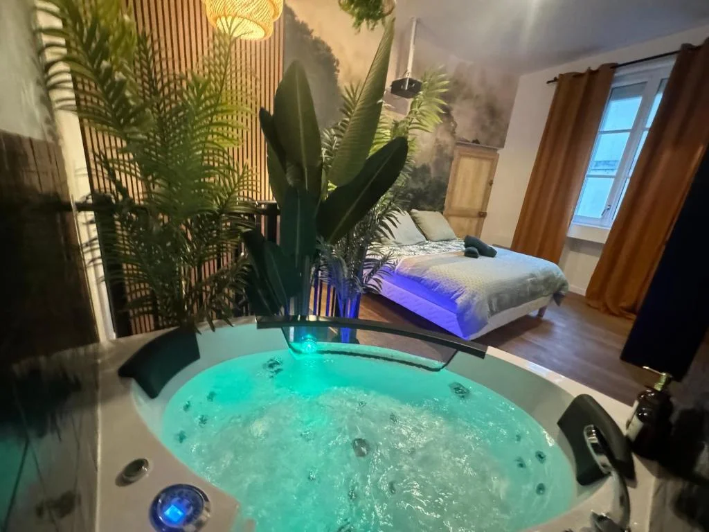 L'Oasis Angevine - Balnéo, Sauna, Home Cinéma et Parking