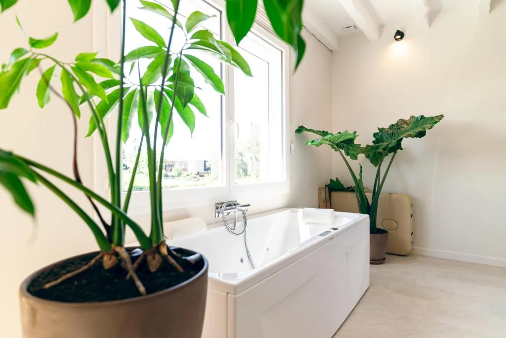 La Bali - Luxe et détente — photo 2