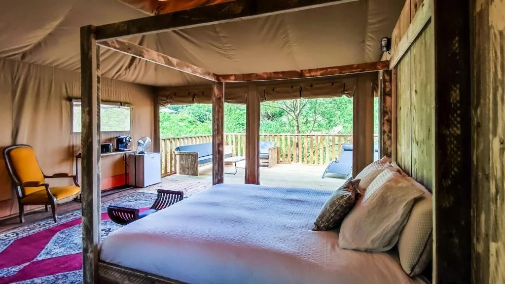 Orbis Boussagues — photo 2