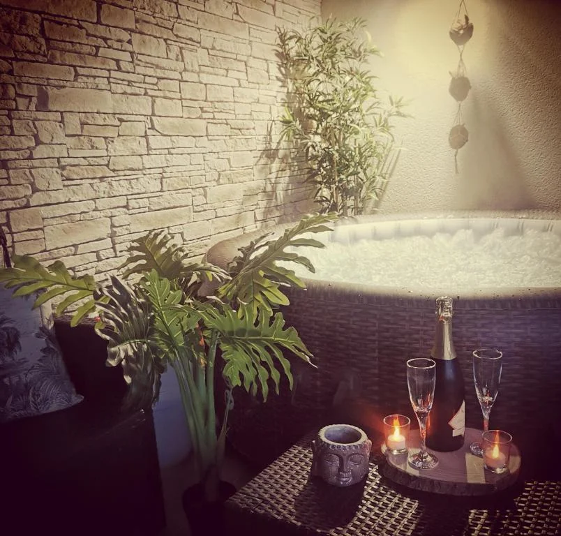 Logement Cosy avec piscine et jacuzzi privatifs — photo 2