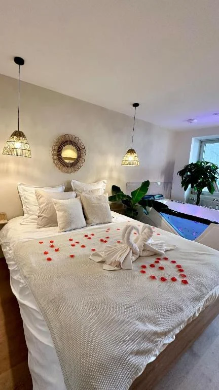 L'Anaya à Nantes - Spa et Sauna — photo 2