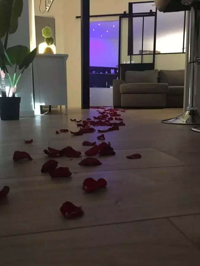 Lovely Apartment SPA & Sauna — photo 2