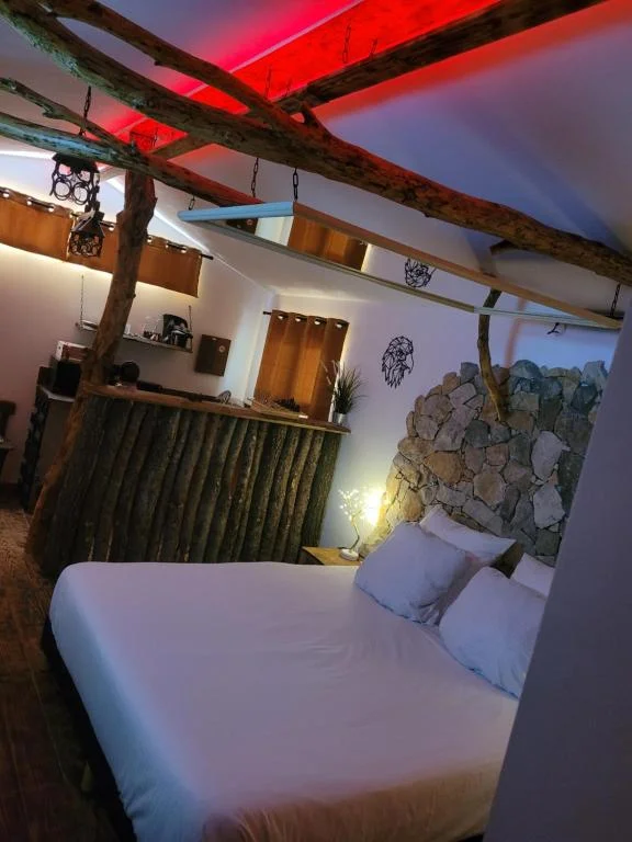 LOVE Room Danslesbois avec spa — photo 2