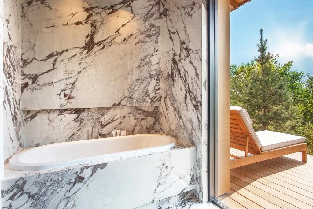 Jiva Hill Resort proche Genève — photo 2