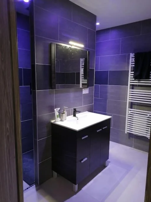 Appart' spa privatif Gray