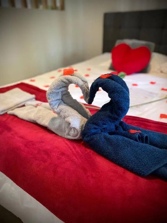 Loft Romantique avec jacuzzi