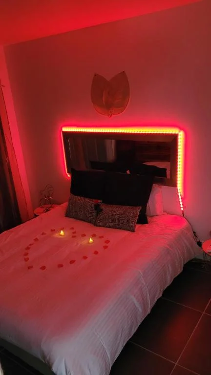 NiD'Amour l'Hirondelle