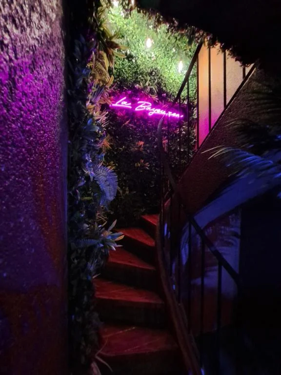 Bayeuzen - La tropicale