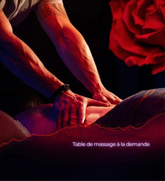 Suite Craz'in Love room en Camargue – Jacuzzi et Cinéma — photo 2