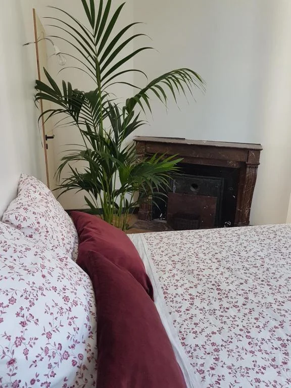 Loft Zen à Rouen – Jacuzzi – Centre Historique — photo 2